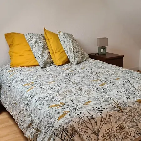 Duplex Au Centre Avec Parking - L'etoile Apartament Obernai