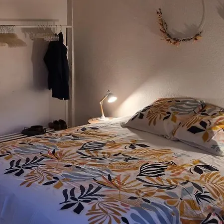 Duplex Au Centre Avec Parking - L'etoile *