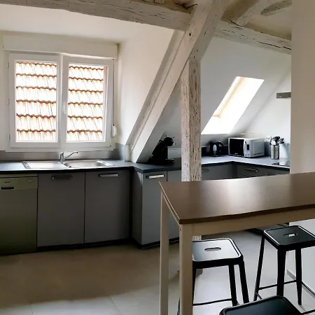 Apartment Duplex Au Centre Avec Parking - L'etoile Obernai