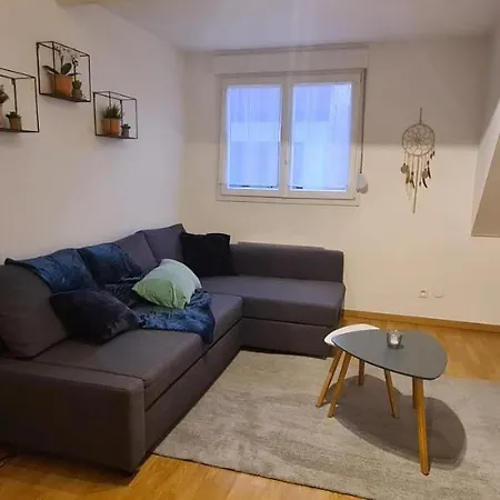 Duplex Au Centre Avec Parking - L'etoile Obernai